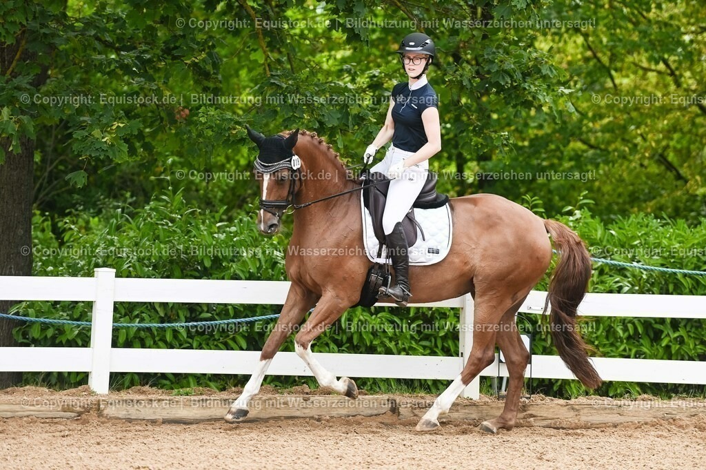 20230715_07_Dressurpferdeprfg. Kl.L_0091 | equistock