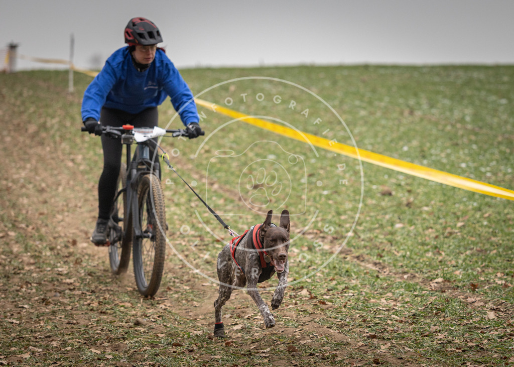 Pfotenfotografie_DV3A2880 | Hundefotografie, Tierfotograf, Pfotenfotografie, Fotoshooting Hund, Hunde Portrait, Hundesport, Hundeportraits, Heideshooting, Hunde, Sportfotograf, Hundefotograf, Turnierhundsport, THS,  - Realisiert mit Pictrs.com