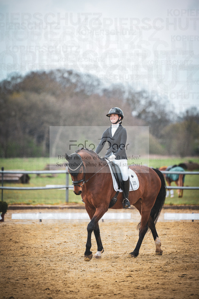 DOS_7334 | Entdecke hochwertige Reitturnierfotos von Foto Oger. Professionell, emotional und authentisch – jetzt Lieblingsmomente im Shop bestellen. - Realisiert mit Pictrs.com