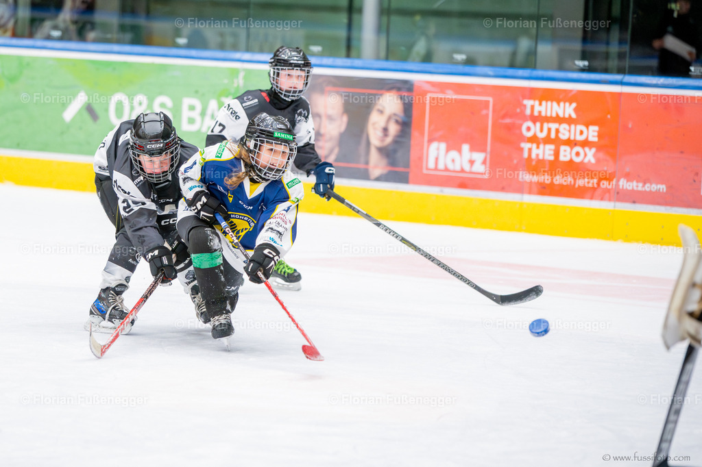 DSC_9504 | "Fussifoto.com – Ihr Ansprechpartner für hochwertige Fotografie! Entdecken Sie kreative Bilder und professionelle Dienstleistungen. Kontaktieren Sie uns für Ihre Projekte!"