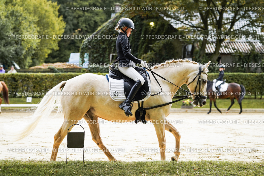 DSC05577 | Pferdegrafie