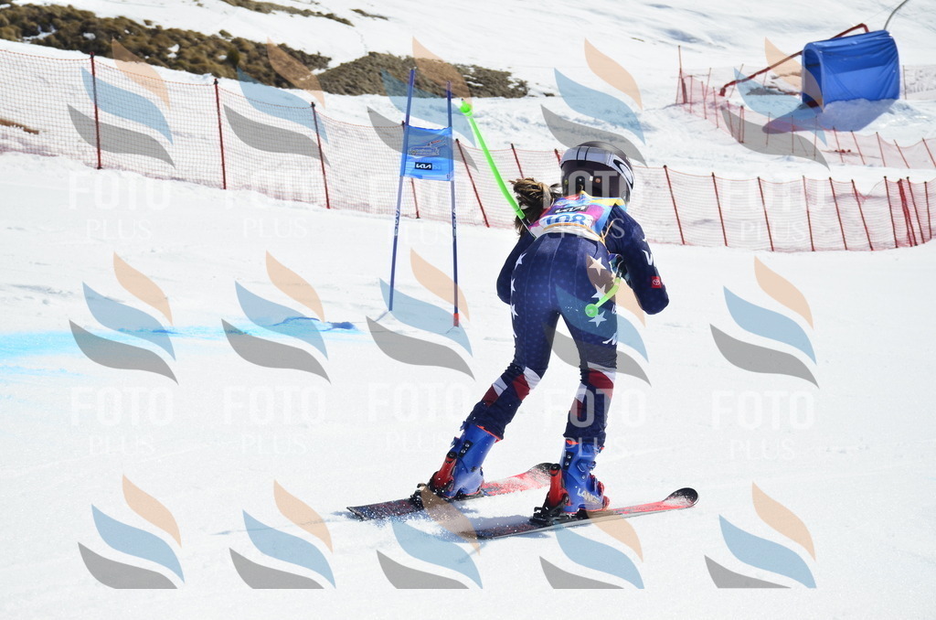 _ELE0626 | holidayphoto