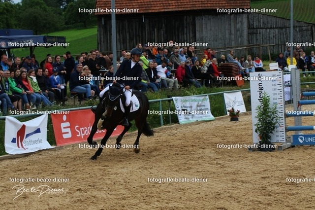 OHT1981 | Fotografie, Tiere, Hunde, Katzen, Pferde, Sportfotografie, Fotosession, Tierfotografie, Turnierfotografie, Fotografin, Fotograf - Realisiert mit Pictrs.com