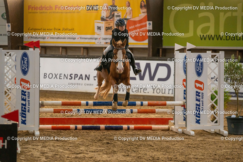 Kranichstein Tag 2-1066 | dv-media-shop - Realisiert mit Pictrs.com