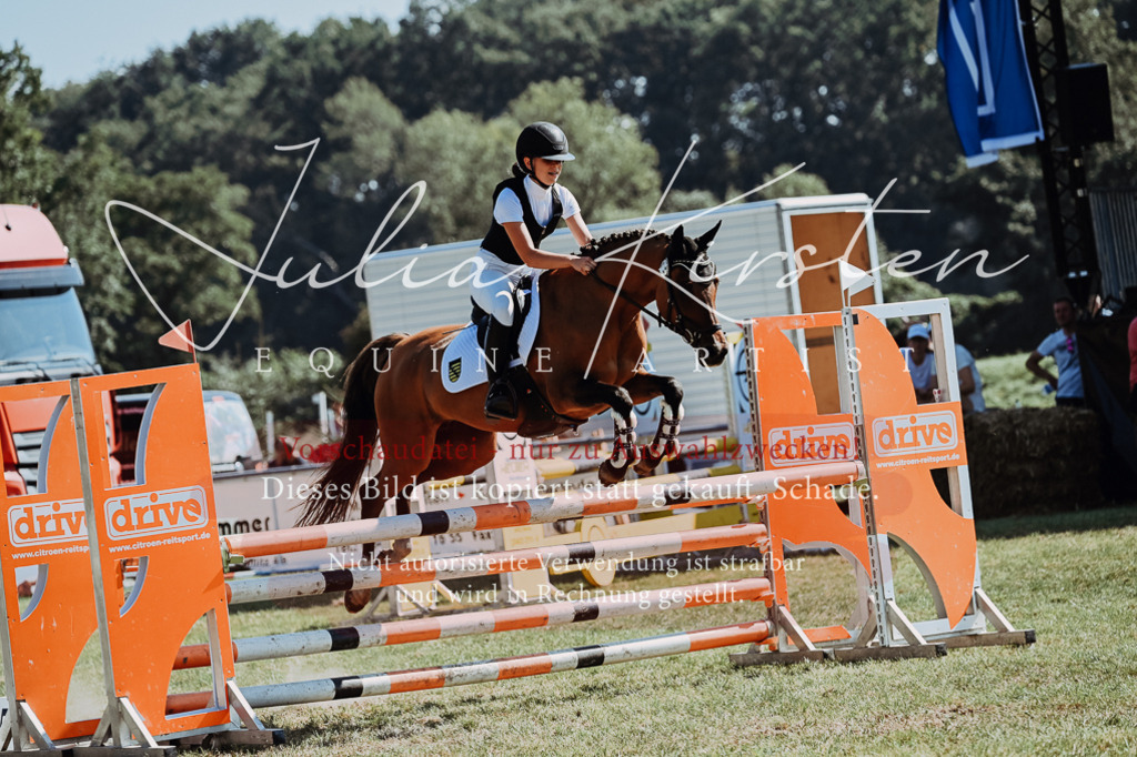 DSC_6143 | Pferde- und Turnierfotografie in Westsachsen. Pferdeportraits, Auftragszeichnungen und intuitive Kunst.