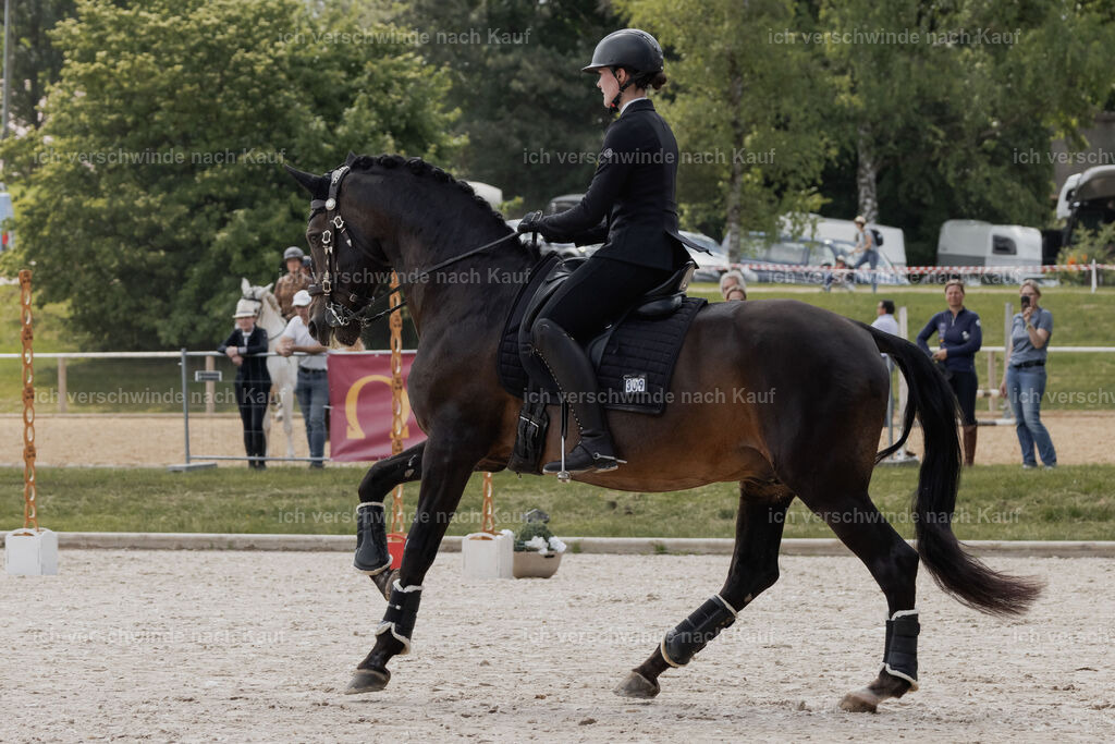 WE_ST_Stoib_309_PI2025_962 | Pferd International München 2025