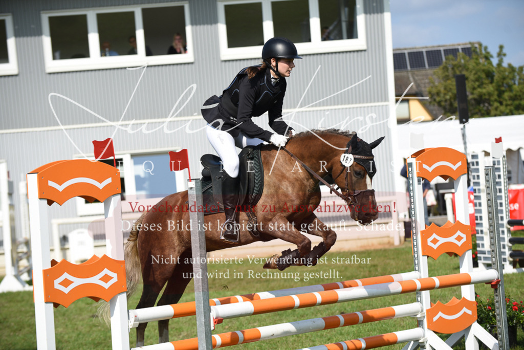DSC_8949 | Pferde- und Turnierfotografie in Westsachsen. Pferdeportraits, Auftragszeichnungen und intuitive Kunst.