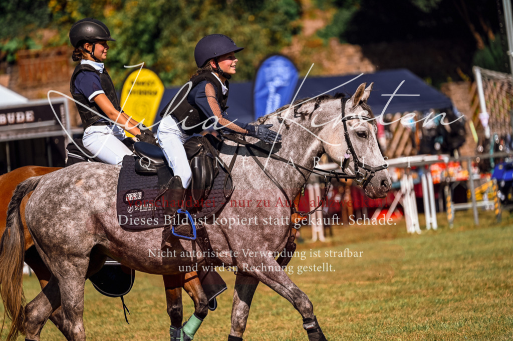 DSC_1208 | Pferde- und Turnierfotografie in Westsachsen. Pferdeportraits, Auftragszeichnungen und intuitive Kunst.