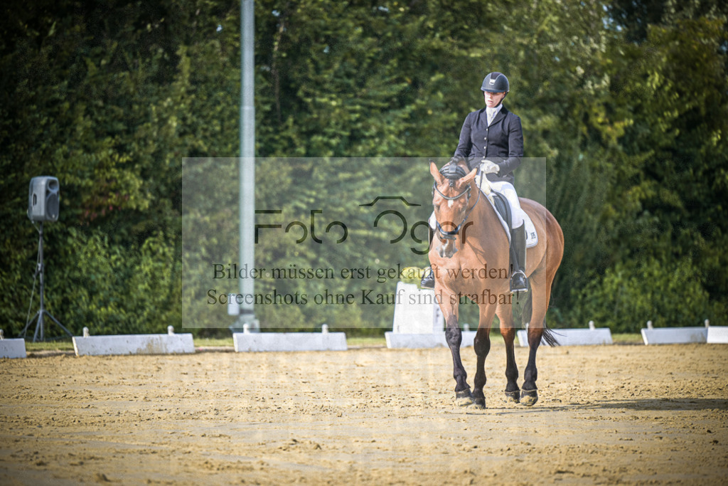 DOS_8311 | Entdecke hochwertige Reitturnierfotos von Foto Oger. Professionell, emotional und authentisch – jetzt Lieblingsmomente im Shop bestellen.Deutschlandweite Turnierfotografie. - Realisiert mit Pictrs.com