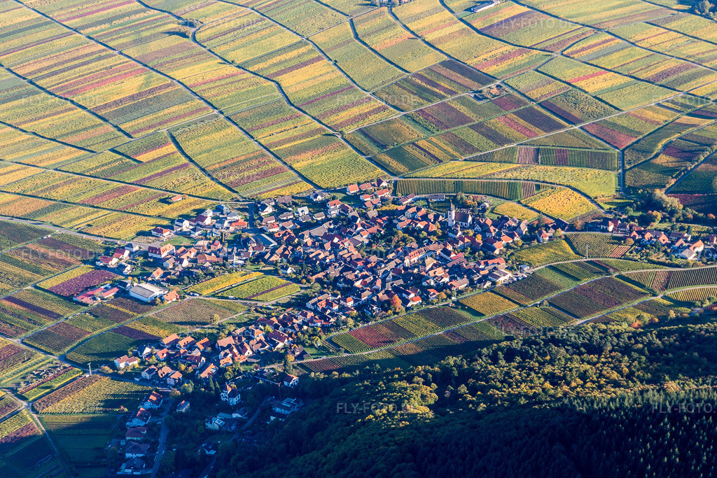 Luftbild: Weinbergs- Landschaft der Pfälzer Weinstraße bei Weyher in der Pfalz in Weyher in der Pfalz im Bundesland Rheinland-Pfalz in Deutschland. Foto: IMG_104054.jpg vom 14.10.2017 durch Werner Riehm/FLY-FOTO.de