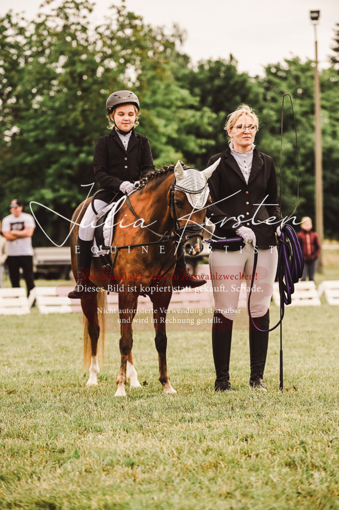 DSC_5262 | Pferde- und Turnierfotografie in Westsachsen. Pferdeportraits, Auftragszeichnungen und intuitive Kunst.