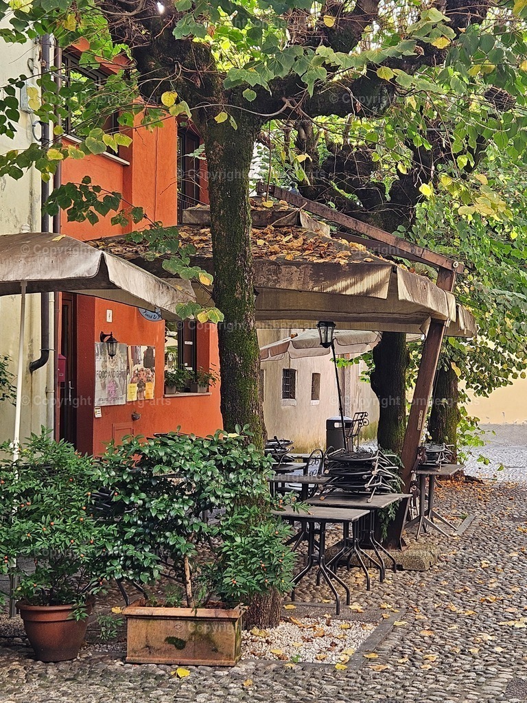 20241015_153046 | romberg-arts, romberg-arts.de, www.romberg-arts.de, Foto_Online_Shop, Julia Fuhrmann, Köln, Fotos, Fotografie, Fotokunst, Kunstdrucke, Naturfotos, Aktfotos, Nacktfotos, schwarz_weiß_Fotos, Blumenfotos, Blumen, Tiere, Beton, Korrosion, Lächeln, Drucke