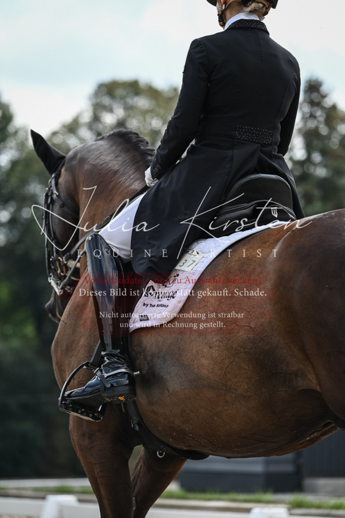 DSC_2453 | Pferde- und Turnierfotografie in Westsachsen. Pferdeportraits, Auftragszeichnungen und intuitive Kunst.