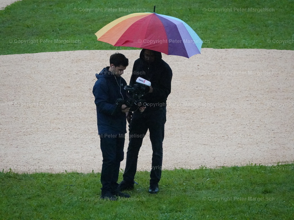 DSC07898 | Schwingen - Realisiert mit Pictrs.com