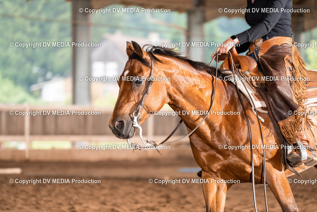 Erbach Tag 2-566 | dv-media-shop - Realisiert mit Pictrs.com