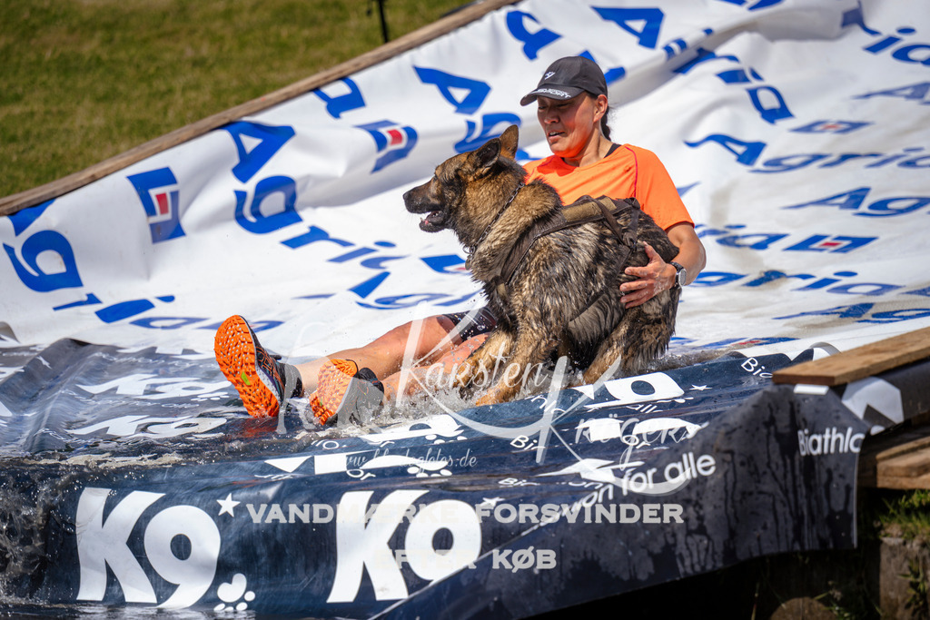 _ZZ995811055 | kk-dogfotos