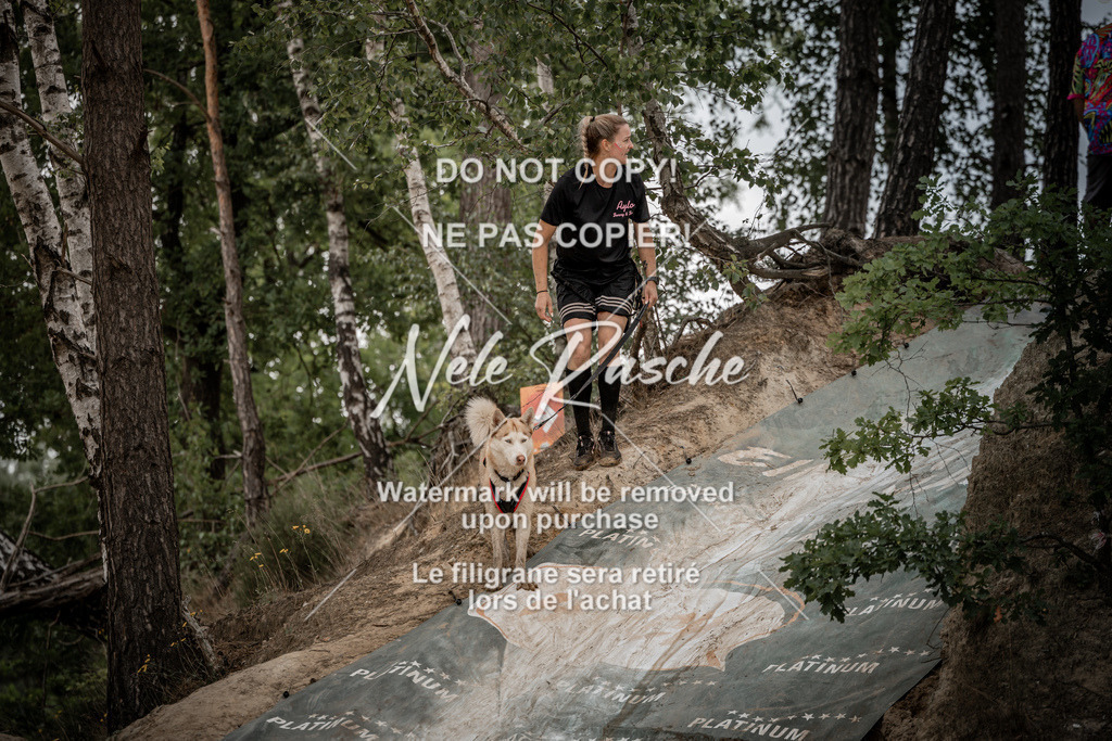 nelerasche_sa1100-1200_361 | nelerasche