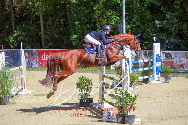 DKP43097 | Turniersportfotografie; Pferdefotografie; Dressurfotografie