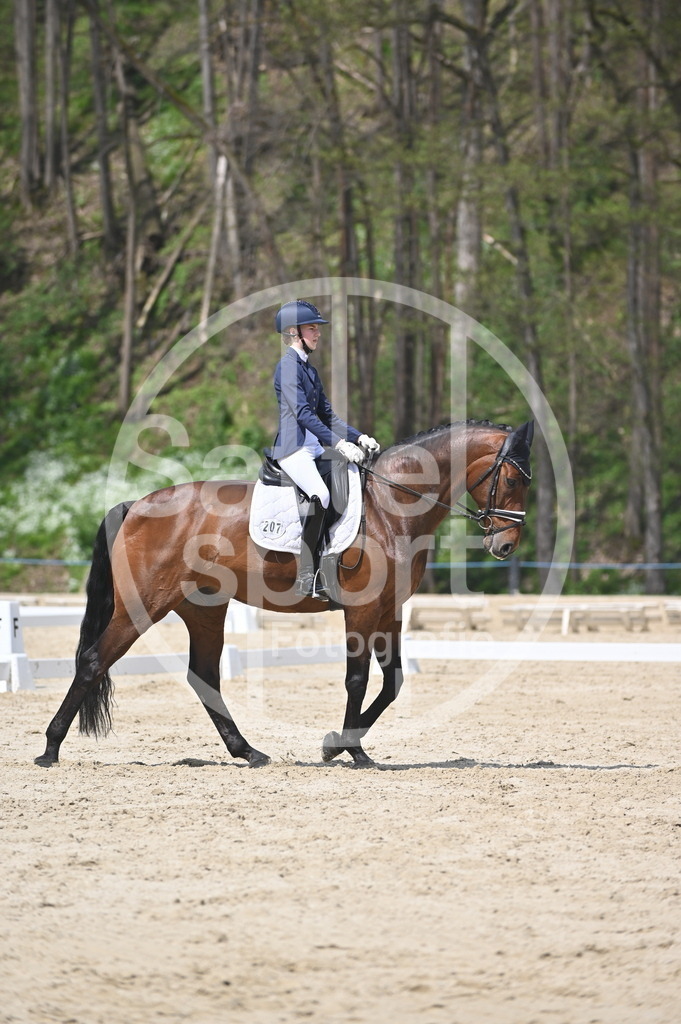 DSC_2154 | sattelsport - Realisiert mit Pictrs.com