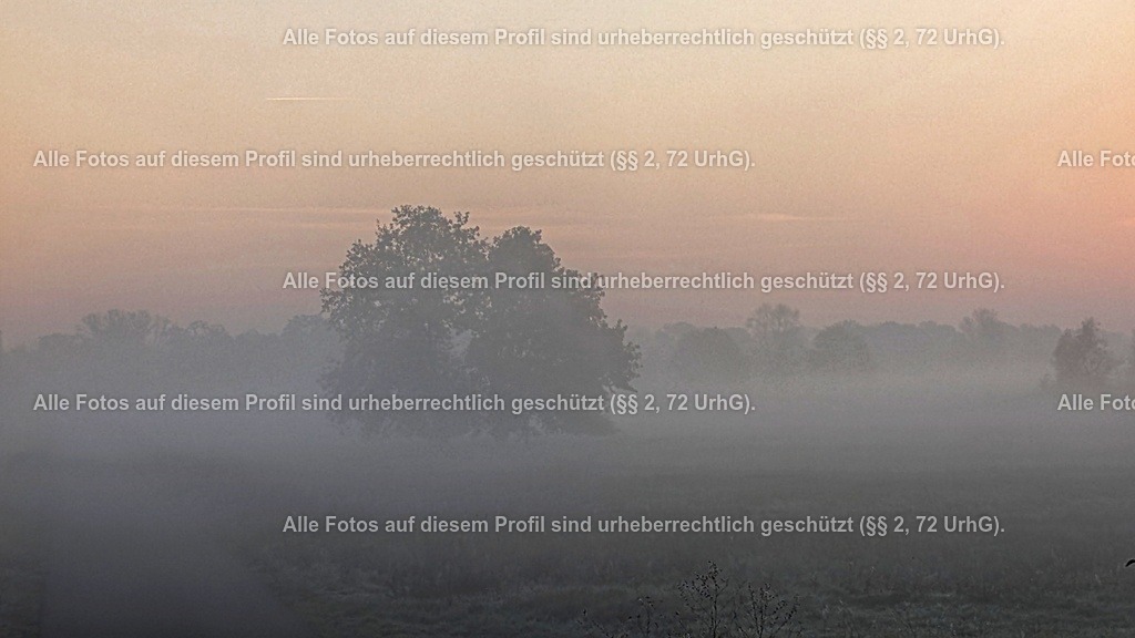 PXL_20241024_055928767 | krollfotografie - Realisiert mit Pictrs.com