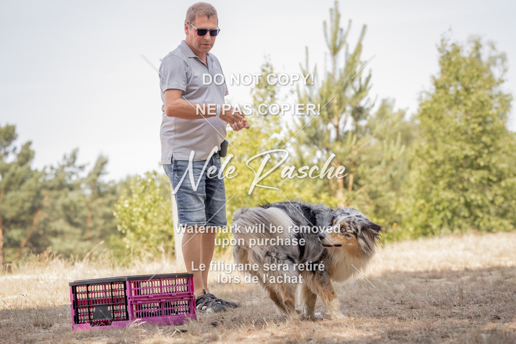 nelerasche_soDD2_76 | nelerasche