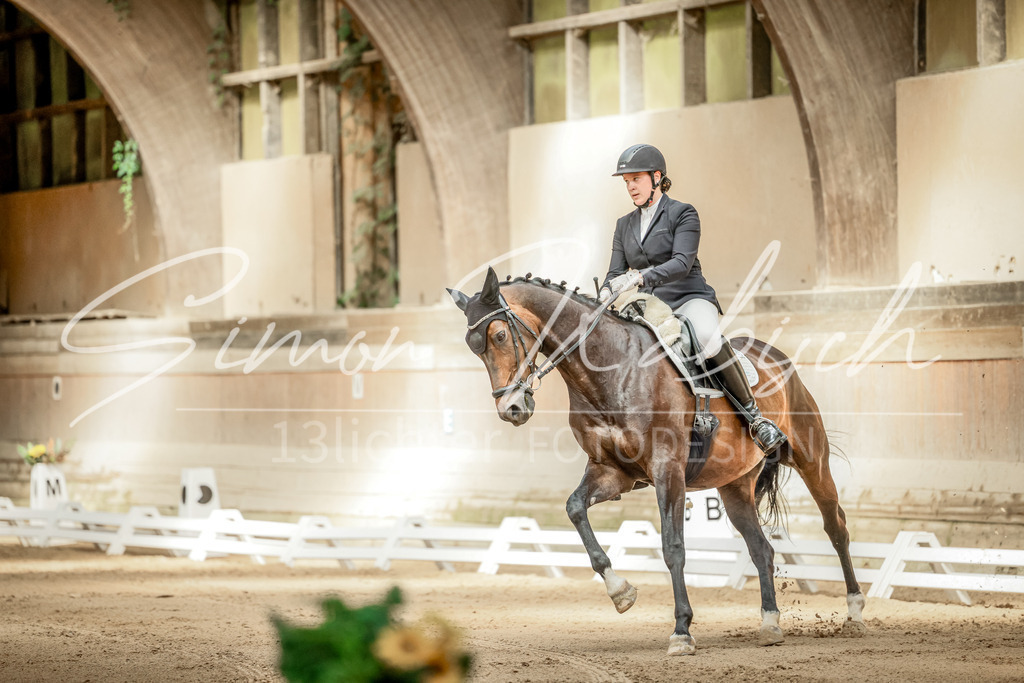 20250621-_3LI5967 | Tierfotografie Pferde, Hunde, Katzen, Haustiere.
Turnierfotografie Reitturniere, Reiten, Springreiten, Dressur in Hanau, dem Main-Kinzig-Kreis und dem Rhein-Main- Gebiet um Frankfurt