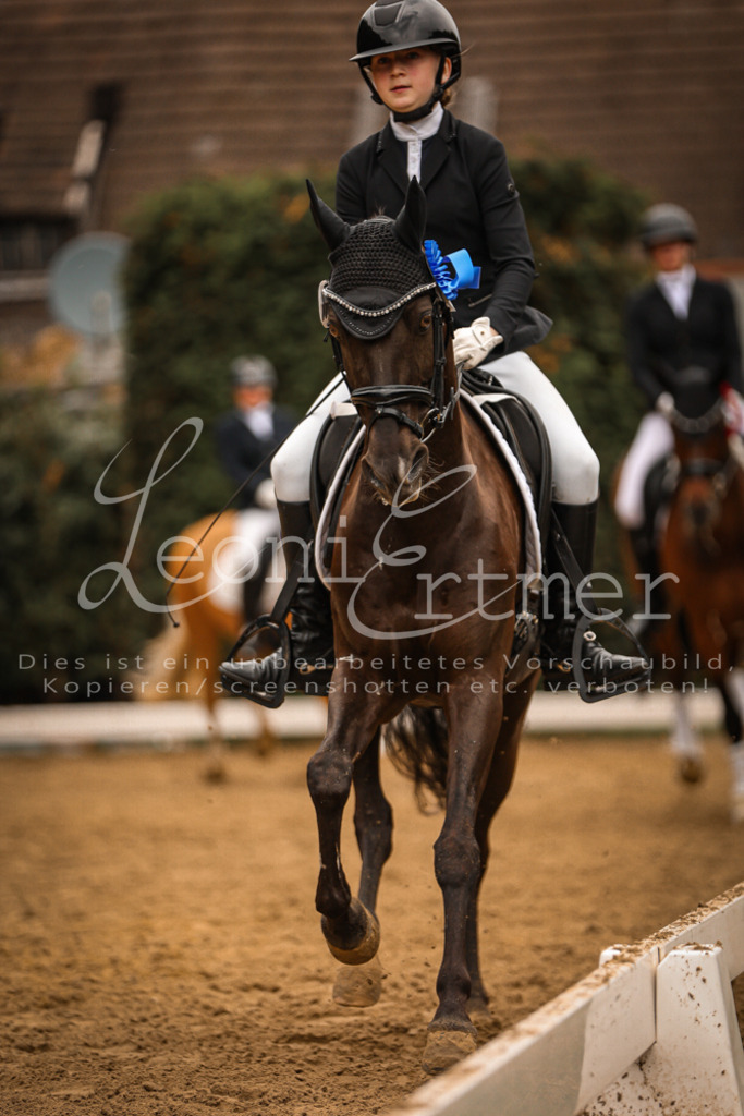 DoDrA200413 | Leoni Ertmer Photography - Realisiert mit Pictrs.com