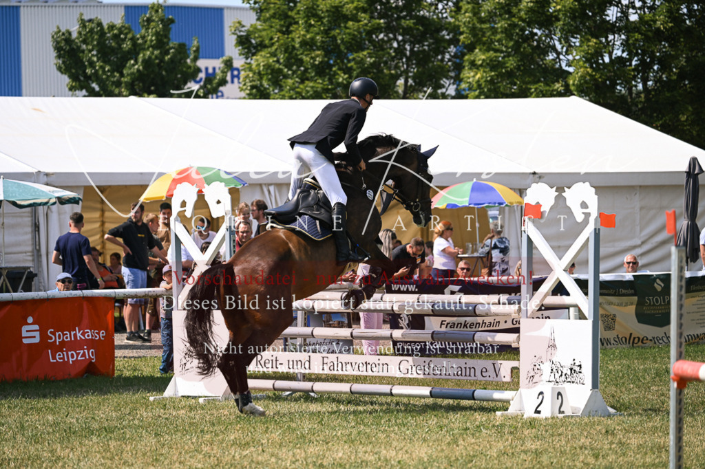 DSC_0269 | Pferde- und Turnierfotografie in Westsachsen. Pferdeportraits, Auftragszeichnungen und intuitive Kunst.