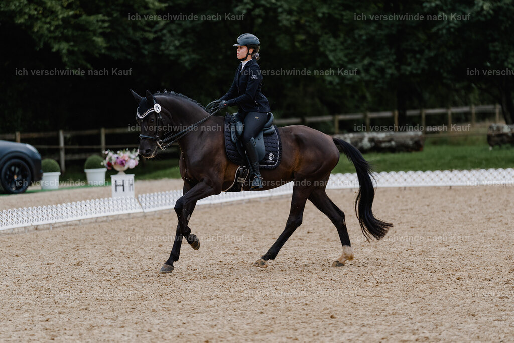 Leonie24_FHC2025-9 | working equitationturnier fotograf videograf stoibphotography marixx film working equitation deutschland reitsport turnierfotografie eventfotografie equestrian events