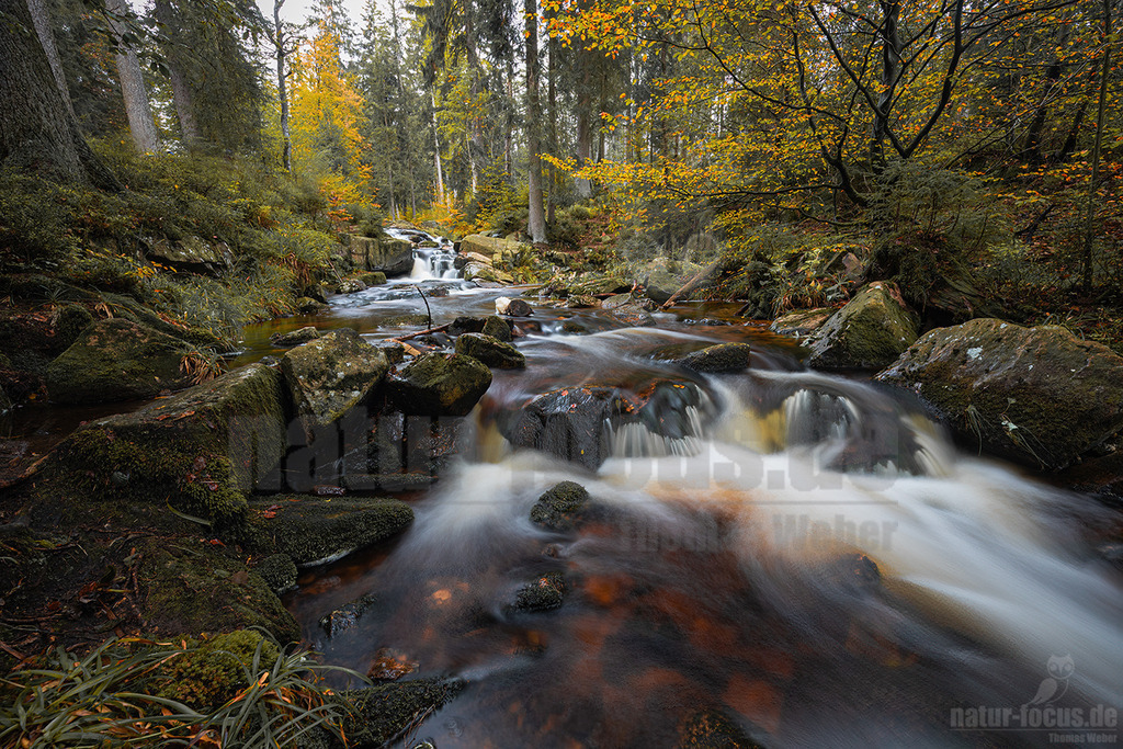 20201011135159 | Herbstliche Landschaft mit Gebirgsbach. - Realisiert mit Pictrs.com