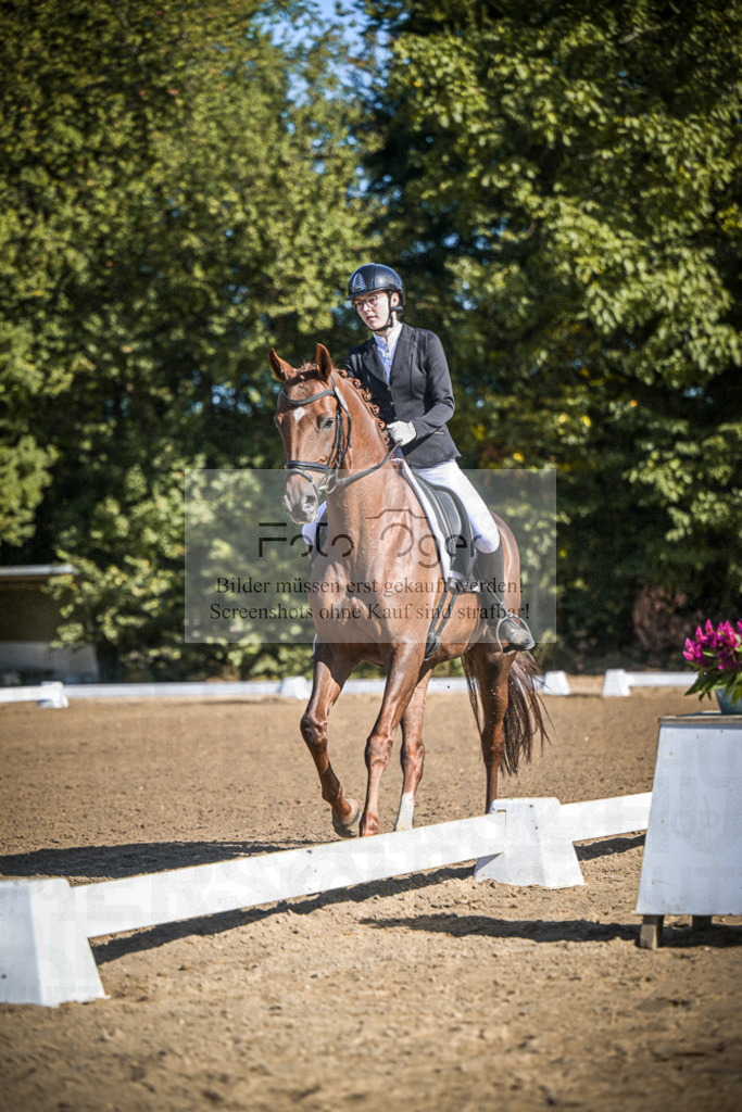 DOS_2237 | Entdecke hochwertige Reitturnierfotos von Foto Oger. Professionell, emotional und authentisch – jetzt Lieblingsmomente im Shop bestellen.Deutschlandweite Turnierfotografie. - Realisiert mit Pictrs.com