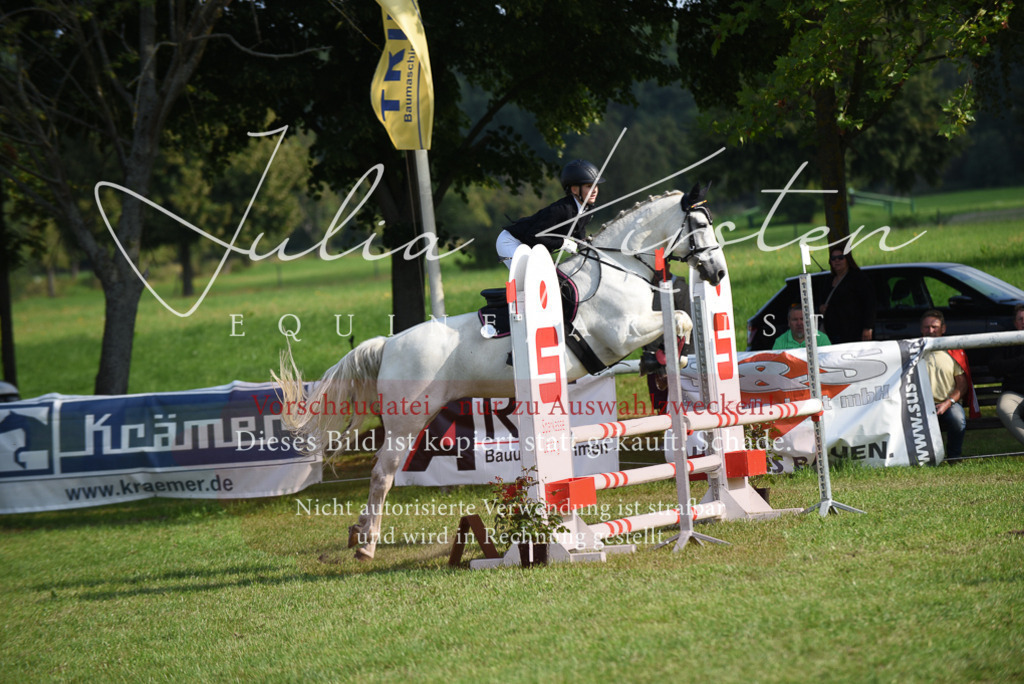 DSC_8655 | Pferde- und Turnierfotografie in Westsachsen. Pferdeportraits, Auftragszeichnungen und intuitive Kunst.