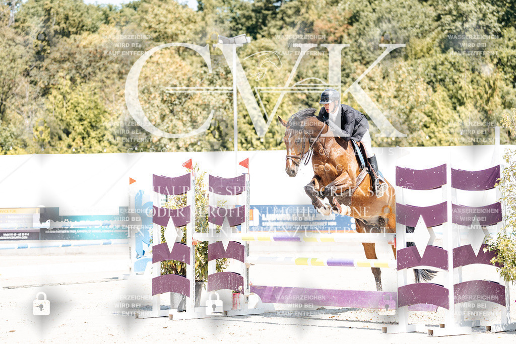 CK900129 | Turnierfotografie Pferdefotografie Trier Rheinland-Pfalz Pferdesport Reitsport Tierfotografie Sportfotografie Pferdevideo Pferdevideografie Equestrianvideography equestrianphotography  - Realisiert mit Pictrs.com