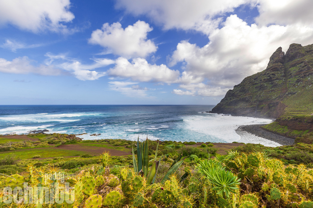 PS-Teneriffa-2026-43 | Entdecke die größte Bildgalerie der Region mit Fotografien aus dem Allgäu, der Bodenseeregion, Oberschwaben, dem Donautal und der Schwäbischen Alb. Landschaften, Luftaufnahmen und Reisefotografie als Wandbild und Fotokunst. - Realisiert mit Pictrs.com