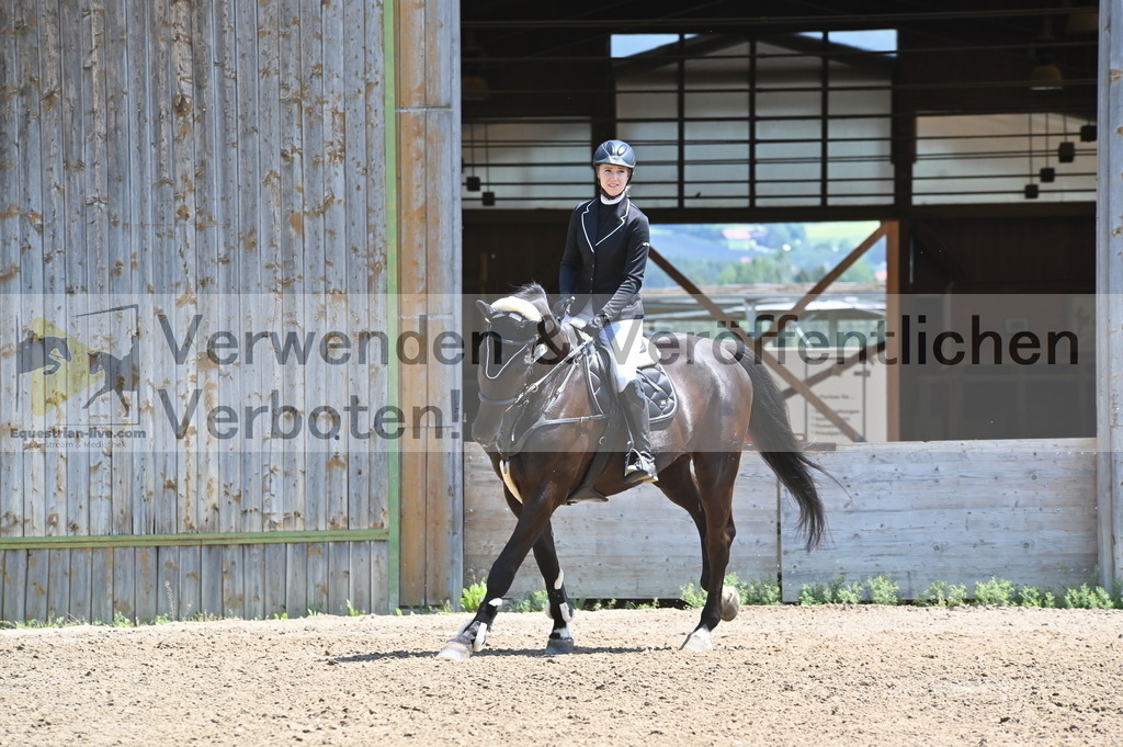 DSC_9212 | equestrian-live-com