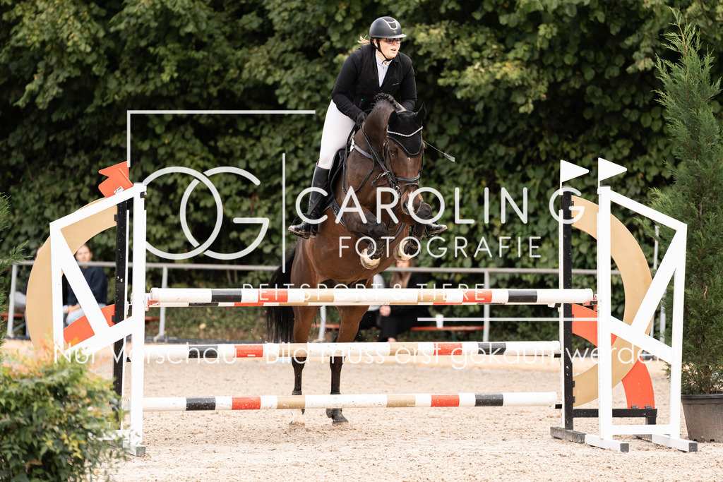 DSC03878 | Carolin Gieschke