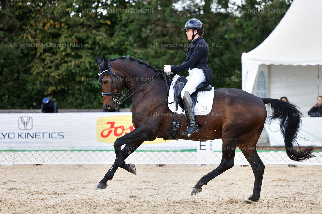 10-193-ST.GEORG SPECIAL -StoibPH-3255 | working equitationturnier fotograf videograf stoibphotography marixx film working equitation deutschland reitsport turnierfotografie eventfotografie equestrian events