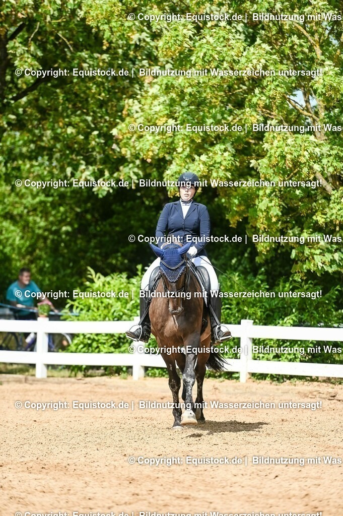 20230716_01_Dressurprüfung Kl.M_0288 | equistock