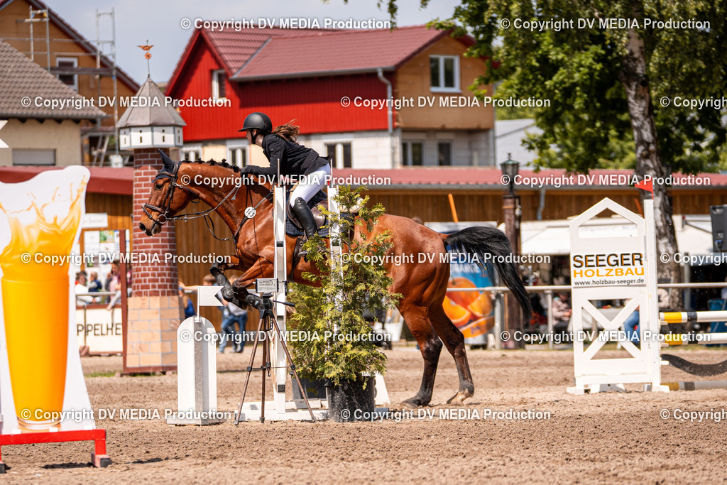 Eppelheim Tag 3-432 | dv-media-shop - Realisiert mit Pictrs.com