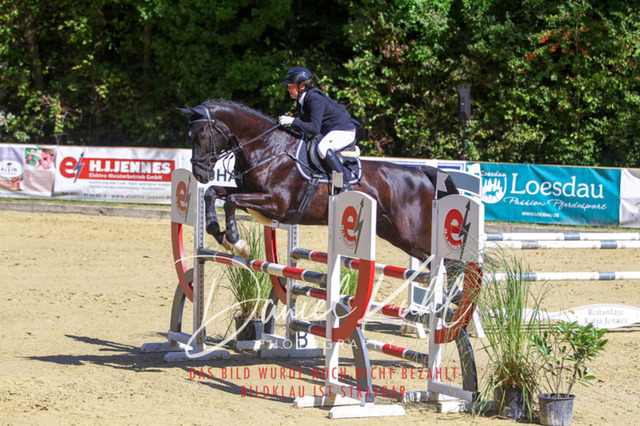 DKP43167 | Deine Turnierfotos vom Reitturnier online kaufen: Dressur, Springen & Siegerehrung. Professionelle Pferdefotografie aus dem Rheinland – als Download & Print.Alternative: Turnierfotograf für den Pferdesport: Finde deine Fotos von Dressur- und Springturnier
