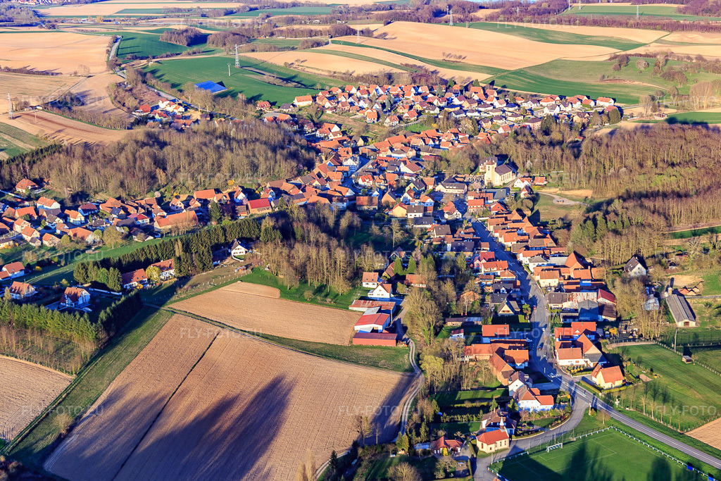 Vue aérienne: Vue de la ville depuis l'ouest à Neewiller-près-Lauterbourg dans le département Bas Rhin, France – .Photo: IMG_097856.jpg prise le 27/03/2017 par Werner Riehm/FLY-FOTO.eu – Résolution de l'original: 4810 x 3206 px