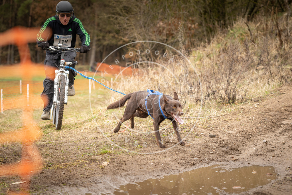 DV3A1031 | Hundefotografie, Tierfotograf, Pfotenfotografie, Fotoshooting Hund, Hunde Portrait, Hundesport, Hundeportraits, Heideshooting, Hunde, Sportfotograf, Hundefotograf, Turnierhundsport, THS,  - Realisiert mit Pictrs.com