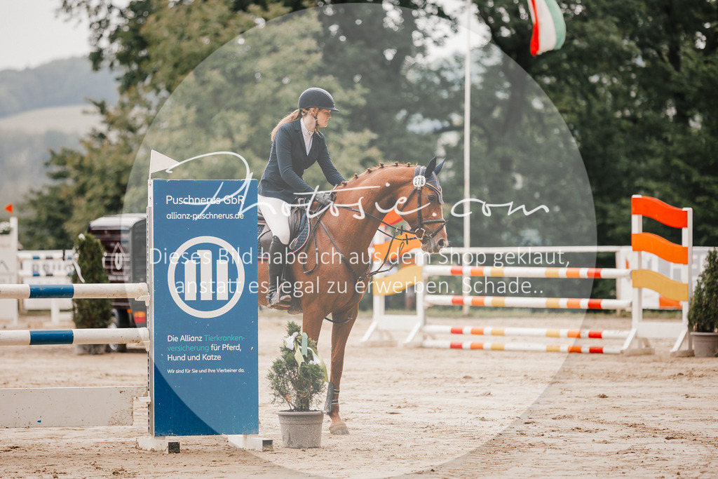 3I6A2162 | Stimmungsvolle Portraits und Reitsportfotografie im Ruhrgebiet und im Münsterland.

Pferdefotografie, Hundefotografie, Tierfotografie, Reportagen, Portraits von Tier und Mensch, Turnierfotografie in Bochum, Recklinghausen, Marl, Haltern am See, Dülmen.. - Realisiert mit Pictrs.com