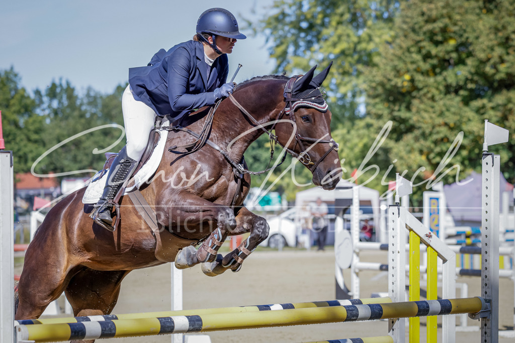 20250906-_3LI3820 | Tierfotografie Pferde, Hunde, Katzen, Haustiere.
Turnierfotografie Reitturniere, Reiten, Springreiten, Dressur in Hanau, dem Main-Kinzig-Kreis und dem Rhein-Main- Gebiet um Frankfurt