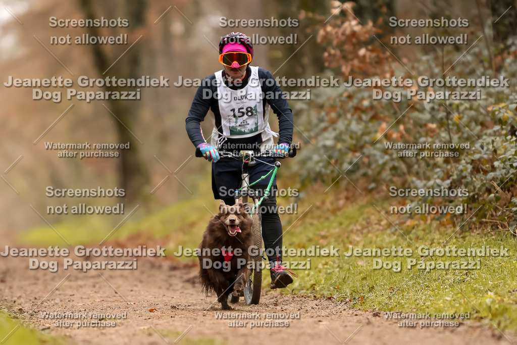 Dog Paparazzi - Speedhunter Mannheim  2025-432 | Dog Paparazzi Jeanette Grottendiek Fotografie & Videografie