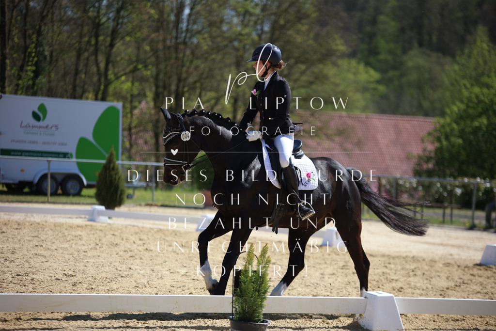 IMGT1823 | pl-fotografie