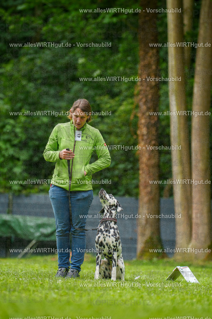 @allesWIRTHgut_Tierfotografie - www.allesWIRTHgut.de - 135235-7R500115 | Professionelle Tierfotografie in Mönchengladbach von Daniel Wirth (allesWIRTHgut). Liebevolle & natürliche Bilder von Hunden & Katzen für unvergessliche Erinnerungen.
