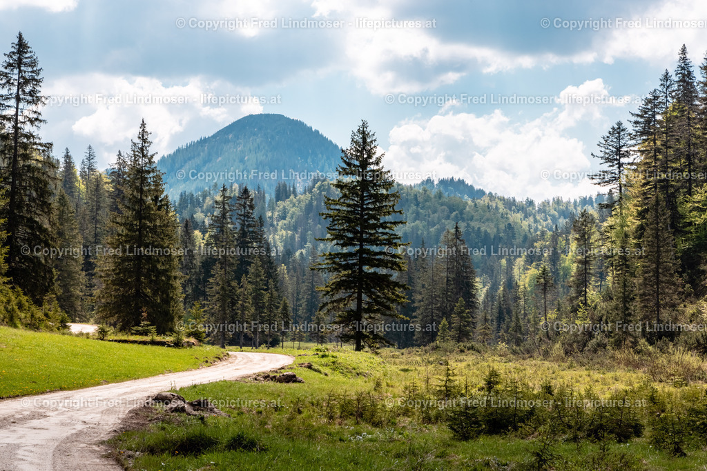 Neuhaus Weisse Ois Oisklause Rundwanderung-6149 | Fotos und Fotoprodukte - Realisiert mit Pictrs.com