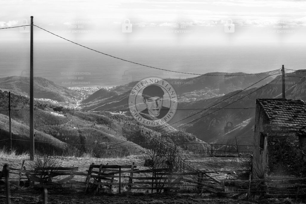 ColleDelMelogno | sviani - Realisiert mit Pictrs.com