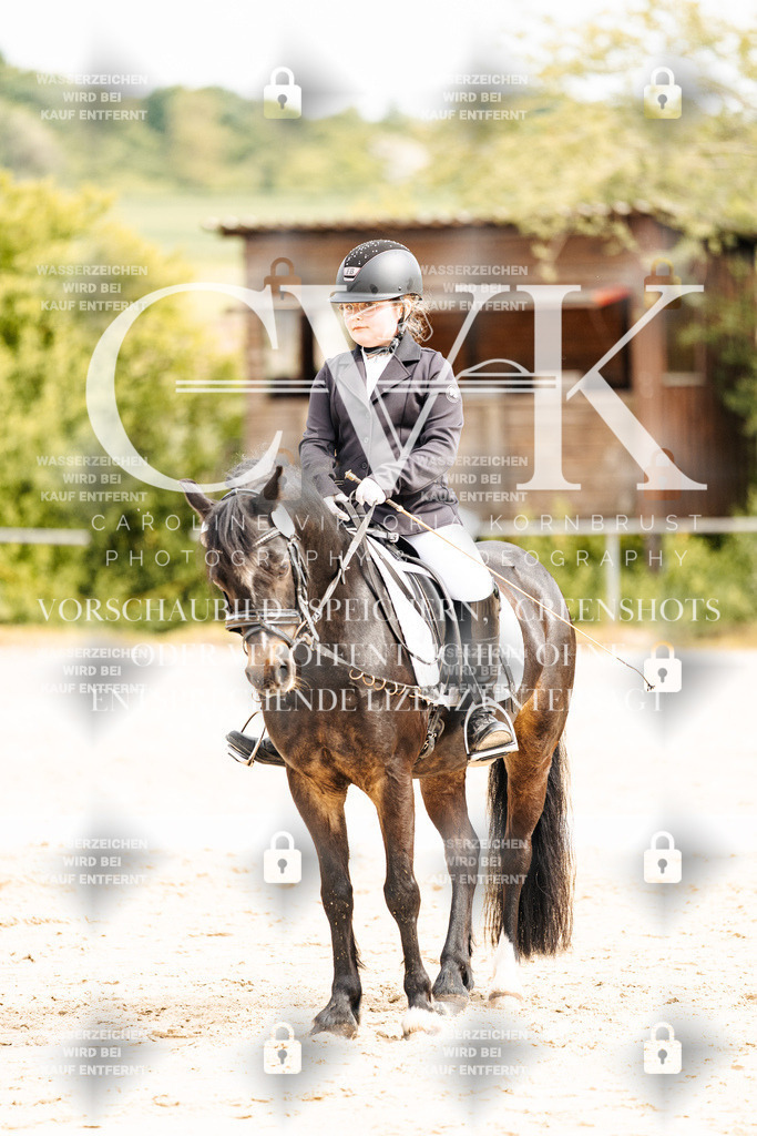 CK904411 | Turnierfotografie Pferdefotografie Trier Rheinland-Pfalz Pferdesport Reitsport Tierfotografie Sportfotografie Pferdevideo Pferdevideografie Equestrianvideography equestrianphotography  - Realisiert mit Pictrs.com